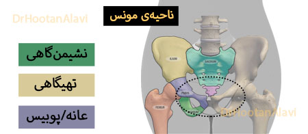 عانه